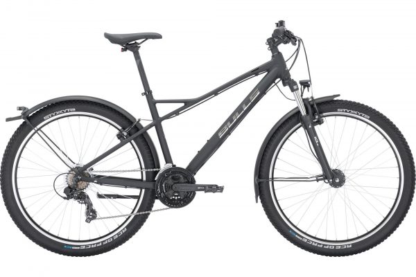 BULLS SHARPTAIL STREET 1