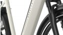 Gazelle Arroyo C5 Elite – Bild 14