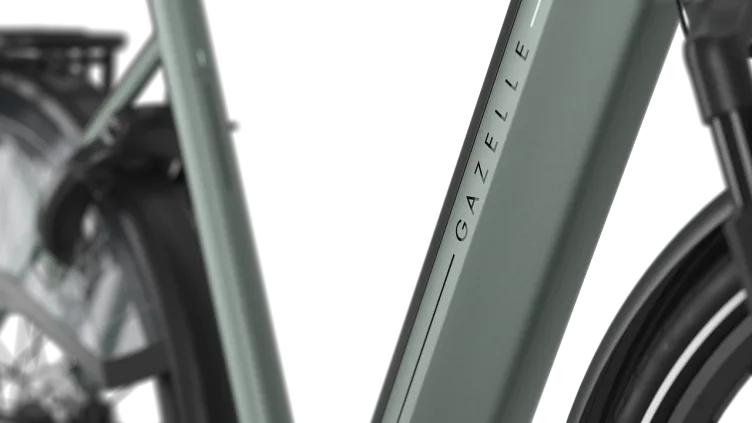 Gazelle Arroyo C8+ Elite – Bild 10