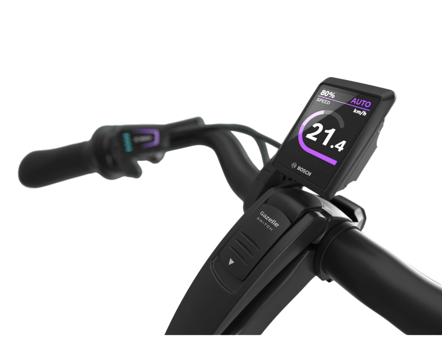 Gazelle Arroyo C8+ Elite – Bild 16