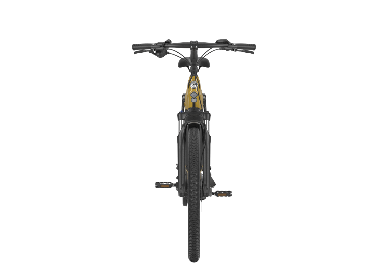 Gazelle Medeo T10 HMB – Bild 3