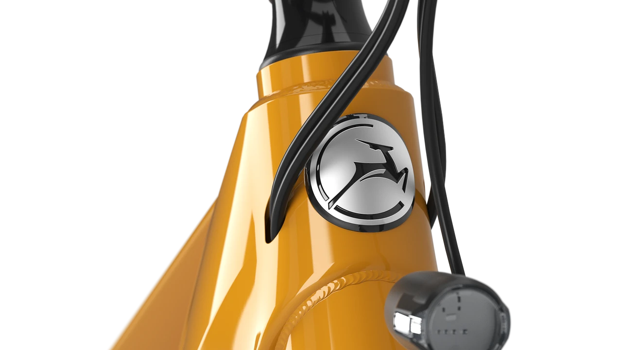 Gazelle Medeo T10 HMB – Bild 9