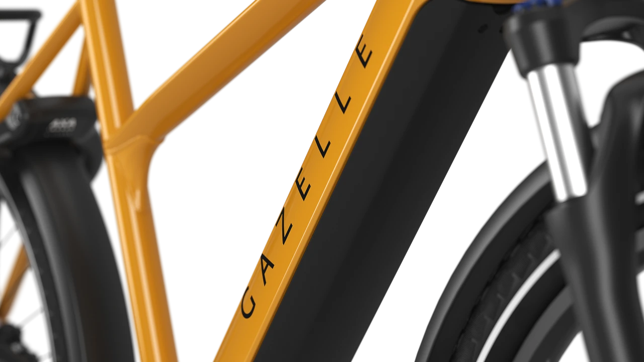 Gazelle Medeo T10 HMB – Bild 10