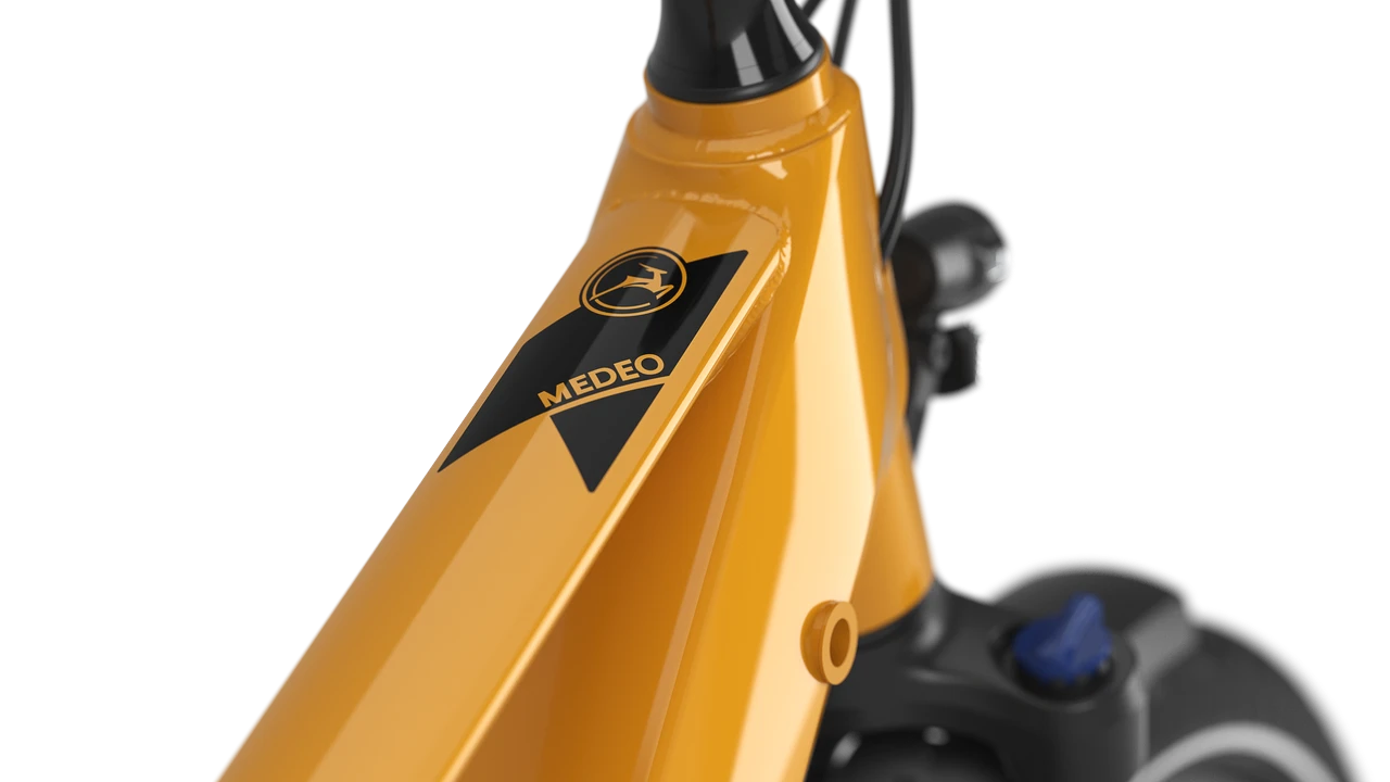 Gazelle Medeo T10 HMB – Bild 11