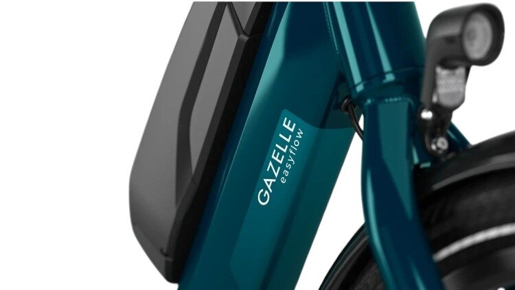 Gazelle Easyflow C7 – Bild 2